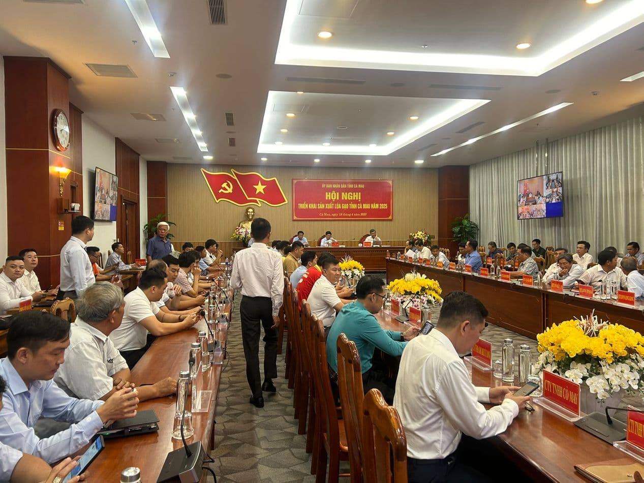 BÁO CÁO THAM DỰ HỘI NGHỊ KẾ HOẠCH LÚA GẠO NĂM 2025